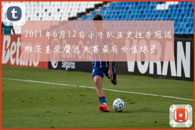 2011年6月12日小牛队历史性夺冠诺维茨基荣膺总决赛最有价值球员